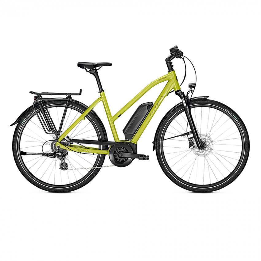 VTC ÉLECTRIQUE ENDEAVOUR 1.B MOVE 500WH CADRE MIXTE (2021)